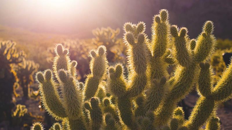 88av声画美学方法论视觉示意
